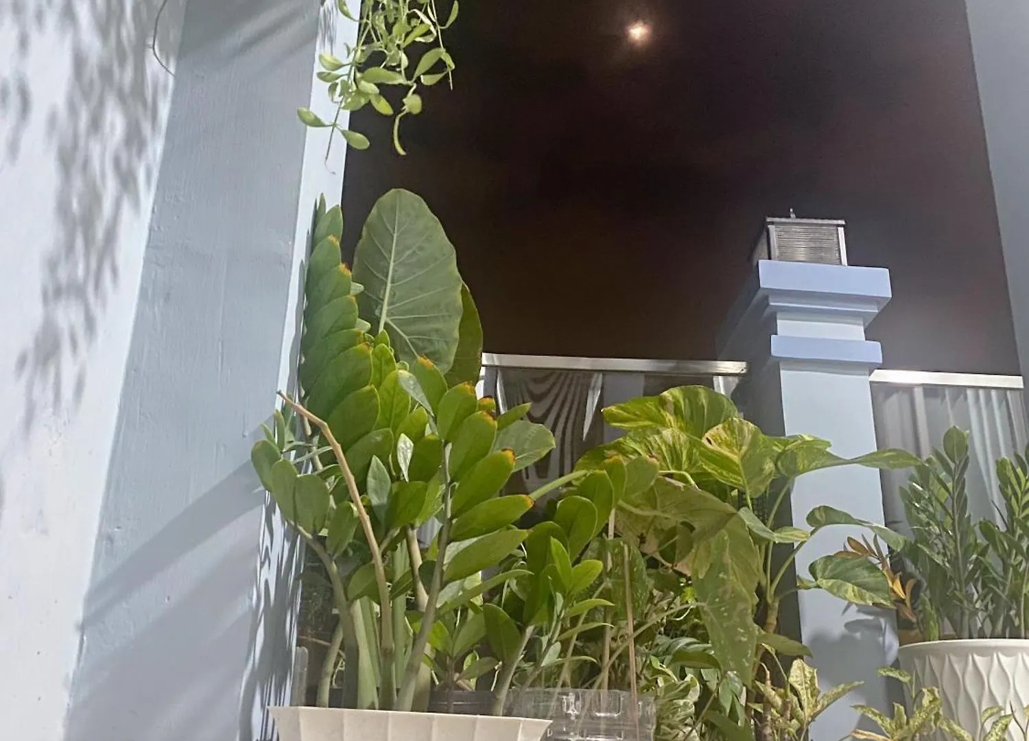 Saigonese Studio Ho Chi Minh City Guest house