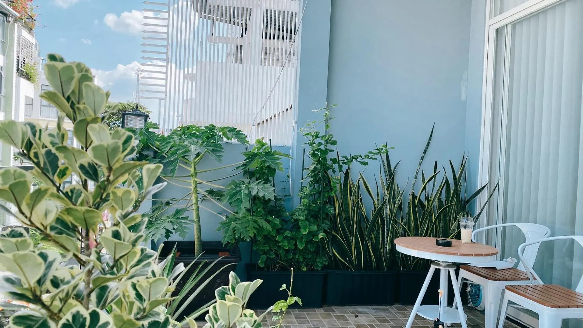 Saigonese Studio Ho Chi Minh City