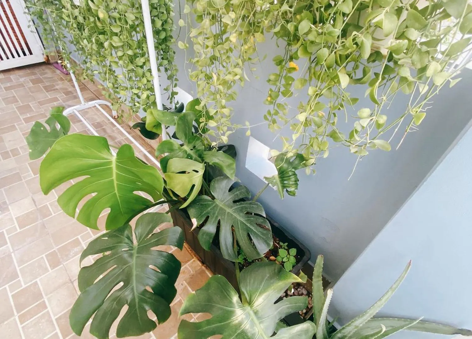 Saigonese Studio Ho Chi Minh City Guest house
